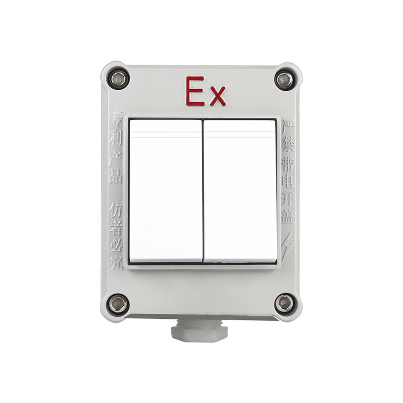 专业解析 工业级防爆照明开关——安全、可靠、多功能的电气控制核心